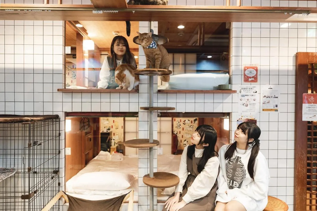 Cat Spa & Cat Ryokan By Neco Republic Osaka 0*,  Japan