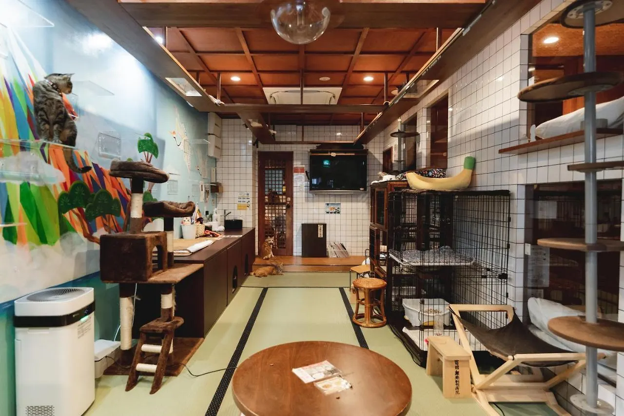 Hostel Cat Spa & Cat Ryokan By Neco Republic Ósaka