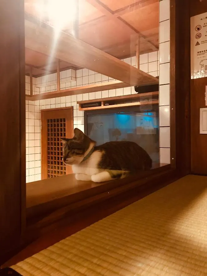 Cat Spa & Cat Ryokan By Neco Republic Ósaka Japonsko