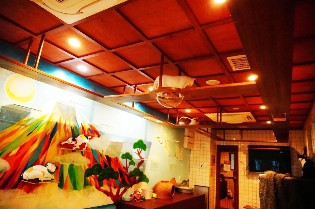 Cat Spa & Cat Ryokan By Neco Republic Osaka